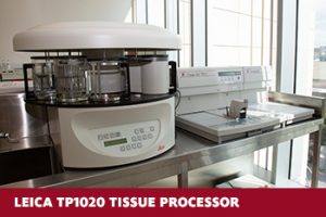 جهاز تمرير العينات Vaccum Tissue processor 