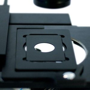 مايكروسكوب  microscope inverted